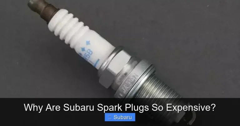 Why Are Subaru Spark Plugs So Expensive?