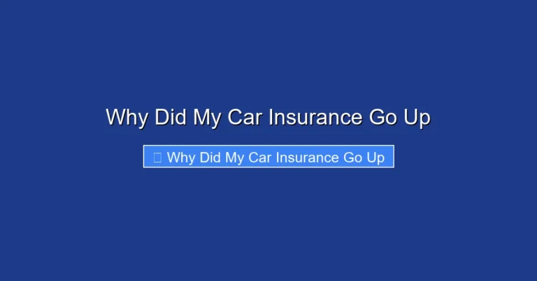 Why Did My Car Insurance Go Up