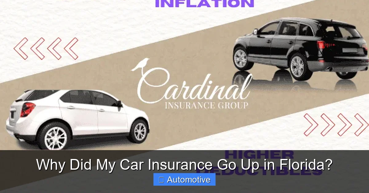 Why Did My Car Insurance Go Up in Florida?