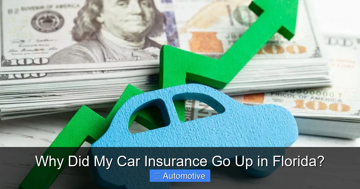 Why Did My Car Insurance Go Up in Florida?