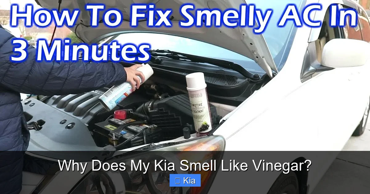 Why Does My Kia Smell Like Vinegar?