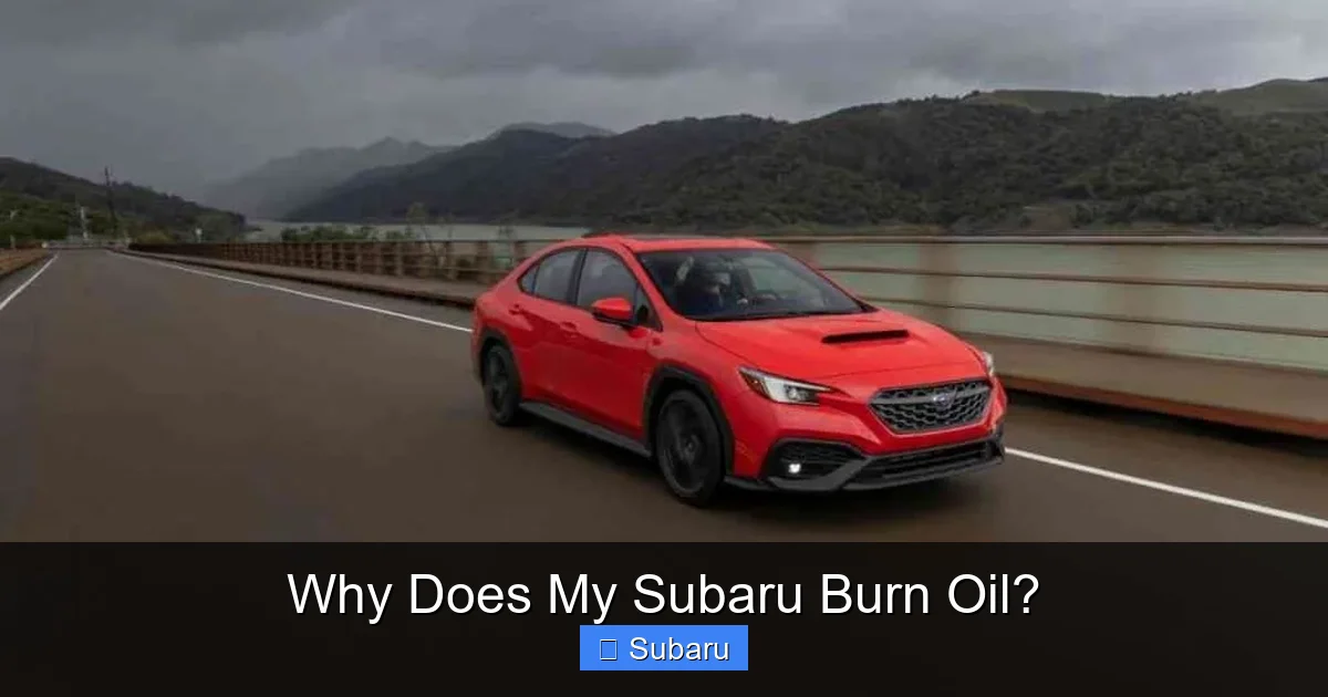 Why Does My Subaru Burn Oil?