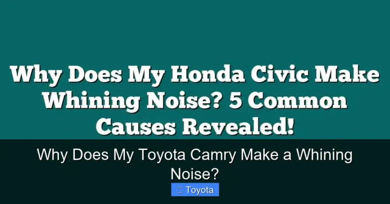 Why Does My Toyota Camry Make a Whining Noise?