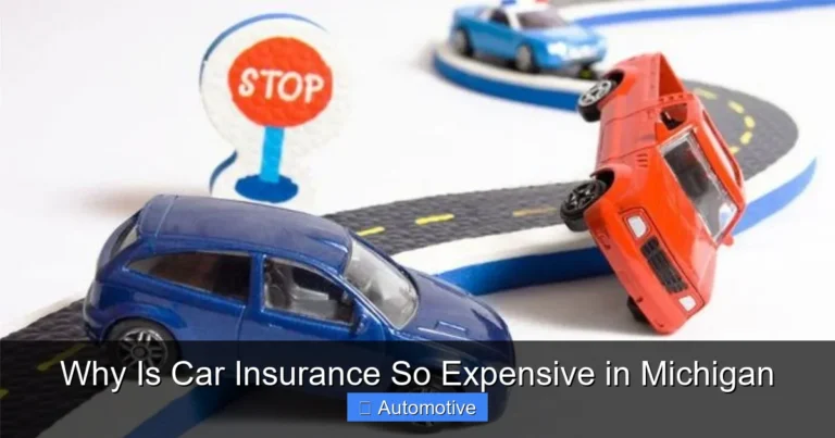 Why Is Car Insurance So Expensive in Michigan
