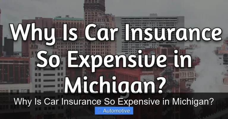 Why Is Car Insurance So Expensive in Michigan?