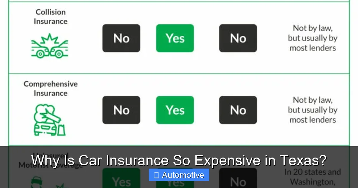 Why Is Car Insurance So Expensive in Texas?