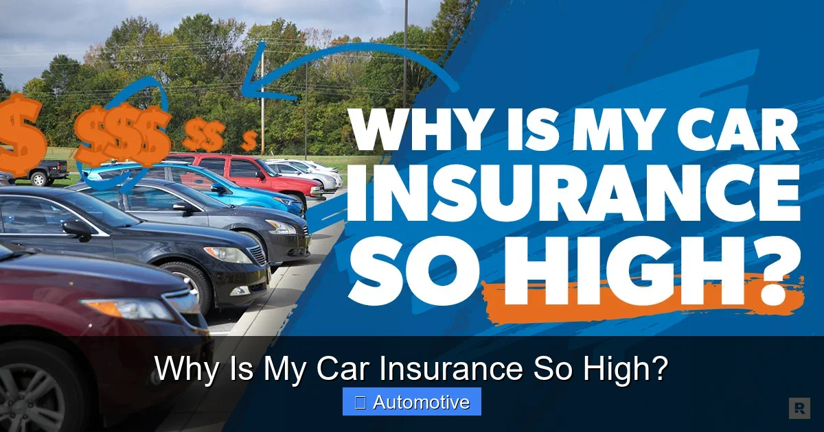 Why Is My Car Insurance So High?