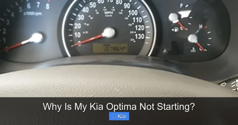 Why Is My Kia Optima Not Starting?