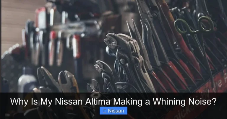 Why Is My Nissan Altima Making a Whining Noise?