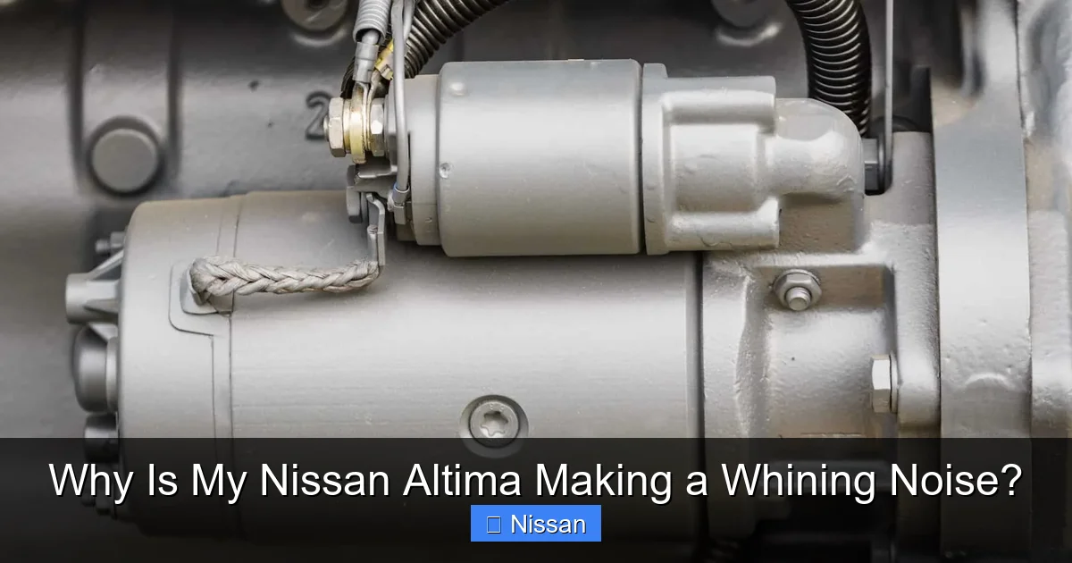 Why Is My Nissan Altima Making a Whining Noise?