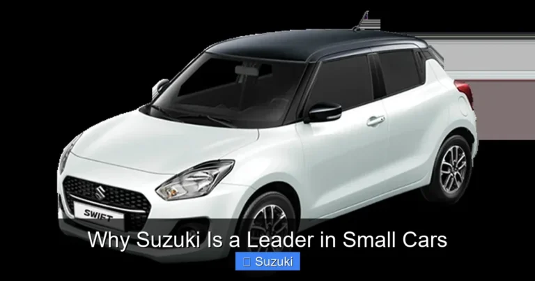 Why Suzuki Is a Leader in Small Cars