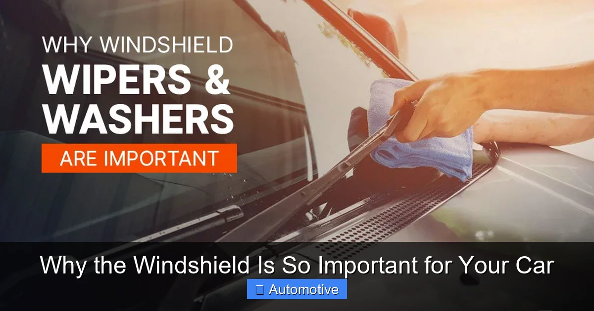 Why the Windshield Is So Important for Your Car