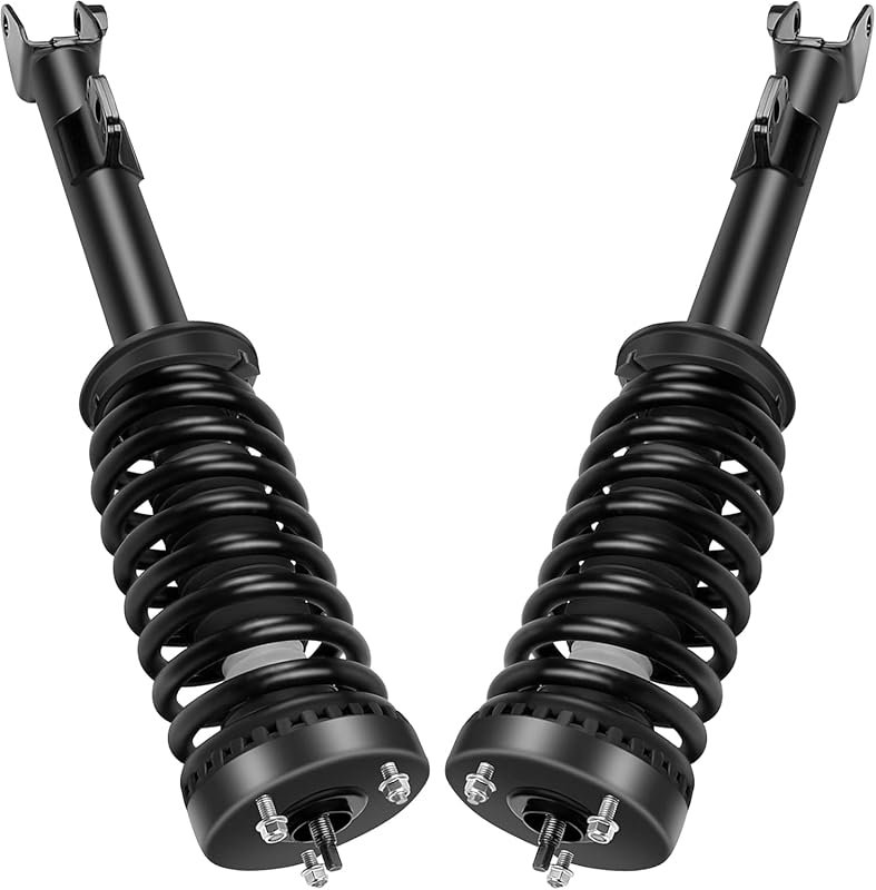 ECCPP Front Complete Strut Assembly for Chrysler 300 2005-2010, Dodge