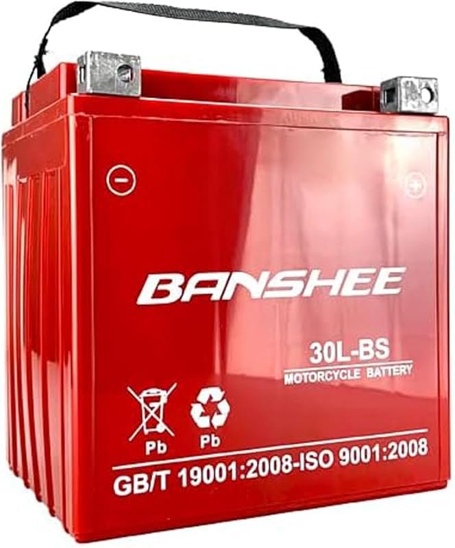 Banshee Sealed AGM SLA Battery fits Harley Davidson FLHR Road King Shr