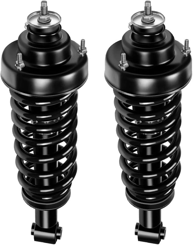 AUTOMUTO Rear Shock Absorber Assembly for Ford Explorer & Mercury Moun