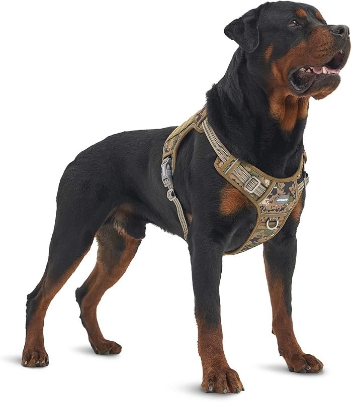 Top 7 Best Dog Harness for Jeep Wrangler 2026 – Expert Picks