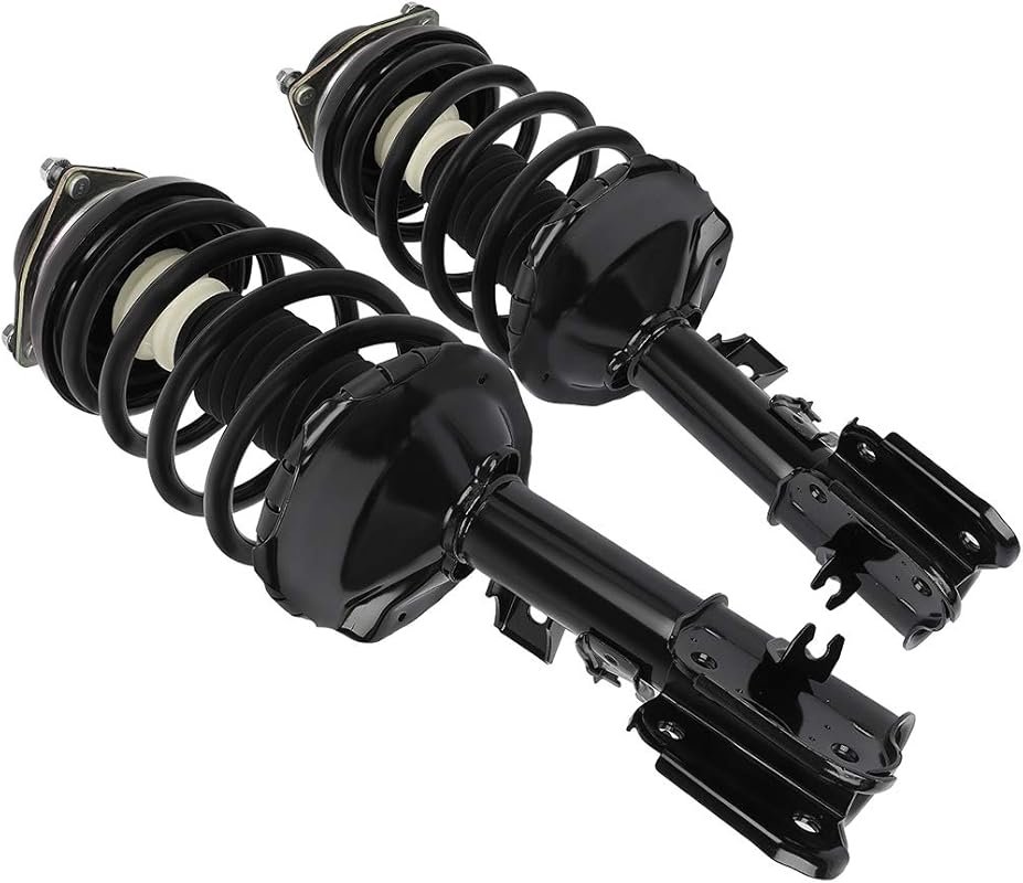 Complete front struts with springs for 2002-2004 Nissan Pathfinder, fi