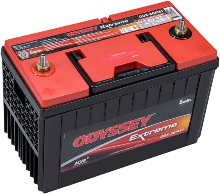 10 Reliable Group 31 AGM Marine Batteries [Expert Picks]