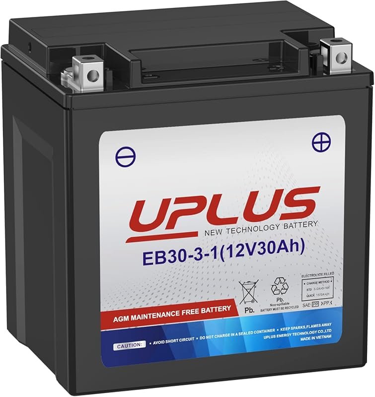UPLUS YTX30L-BS 12V 30AH AGM Motorcycle Battery with 400 CCA for ATVs