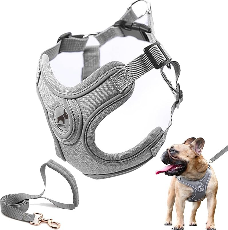 Dog Frenchie Harness with Leash Set, No Pull Adjustable Step in with B
