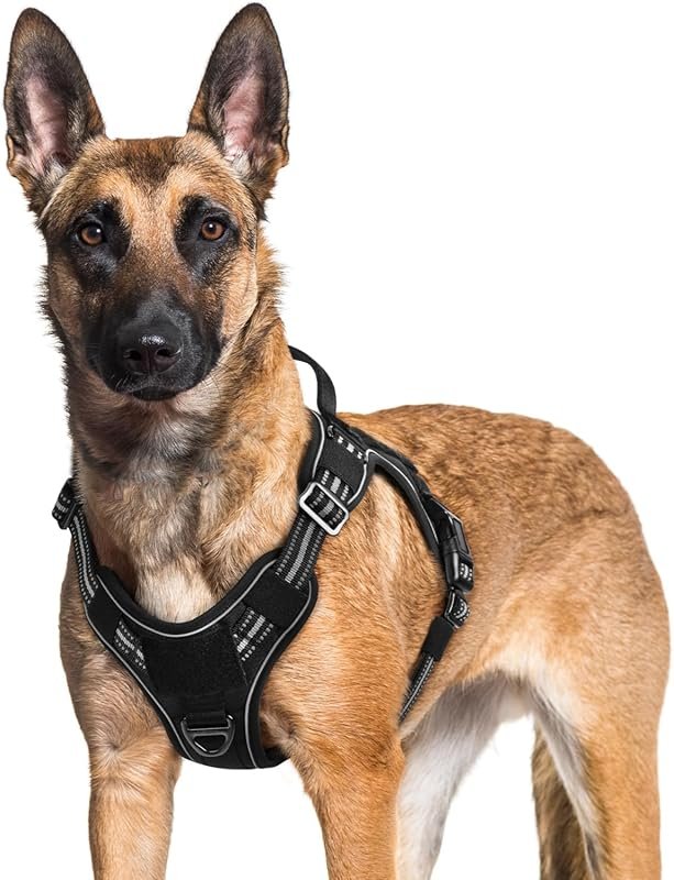 rabbitgoo Dog Harness for Large Dogs No Pull, Tactical Service Pet Ves
