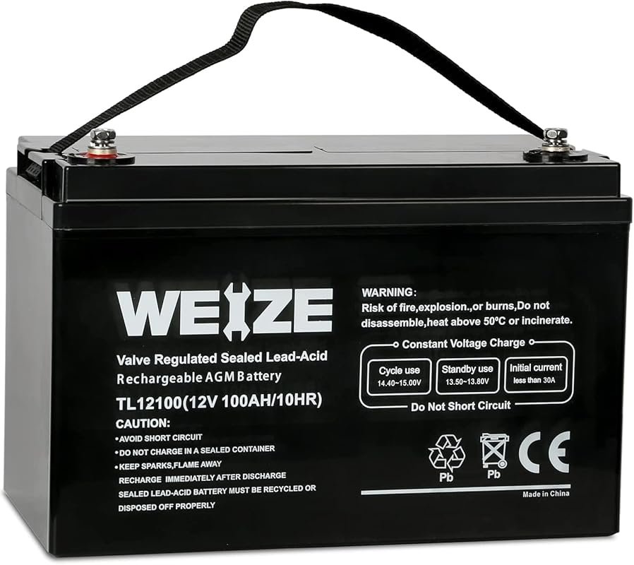 WEIZE 12V 100Ah Deep Cycle Group 31 Battery for RV Dry Camping with Hi