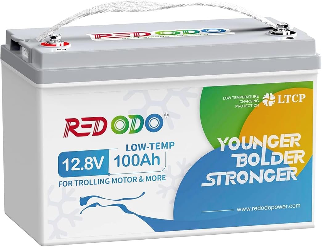 Redodo 12V 100Ah Group 31 LiFePO4 Battery with Low-Temp Protection and