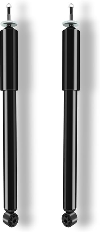 AUTOMUTO 2 Pcs Rear Struts for Chrysler 300 2005-2019, Dodge Challenge