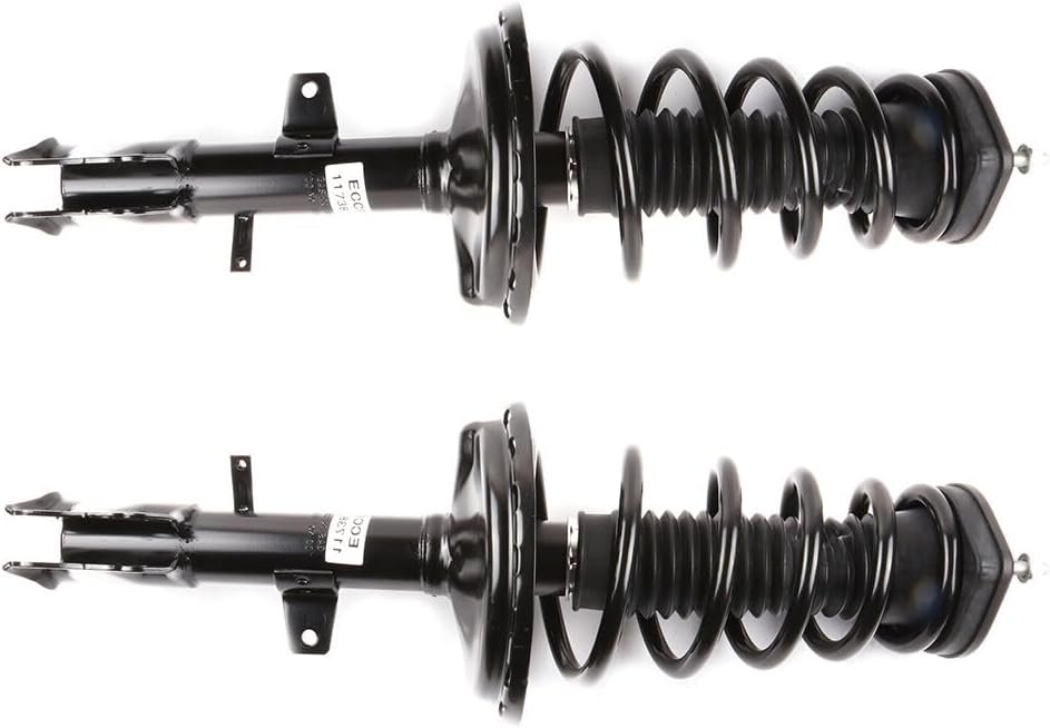 AUTOMUTO Rear Pair Struts with Coil Spring Shock Absorber for Lexus RX