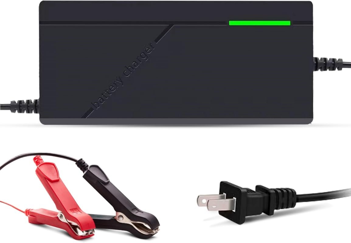 24V 10A 29.2V LiFePO4 Smart Battery Charger and Maintainer with Coolin