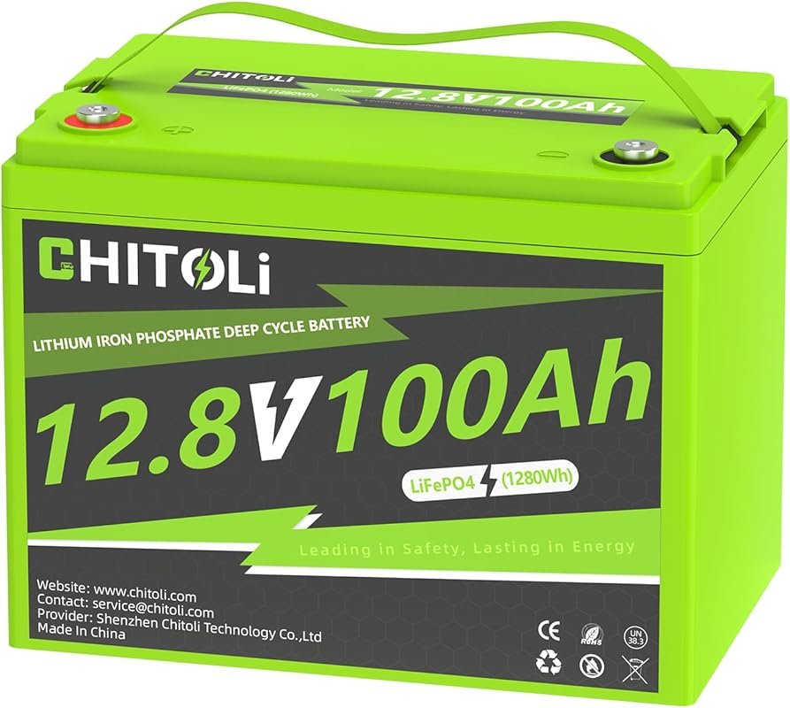 12V 100Ah LiFePO4 Battery with Group 24 Size 15000 Cycles and 100A BMS