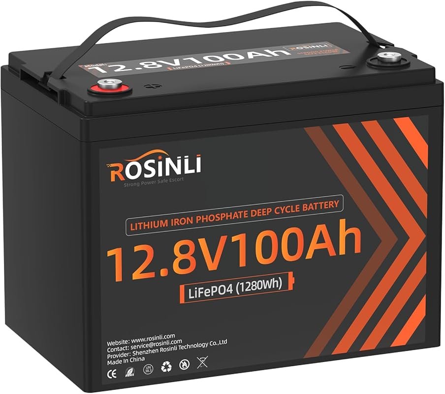 12V 100Ah LiFePO4 Group 24 Deep Cycle Battery with 100A BMS for 15000