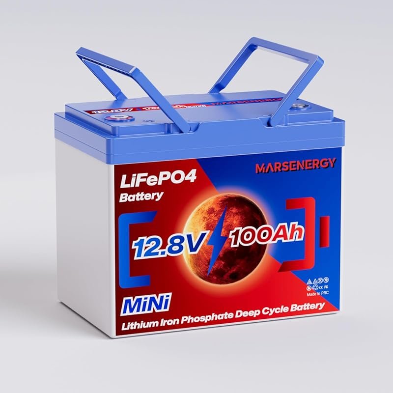 12V 100Ah LiFePO4 Group 24 Deep Cycle Battery with Smart BMS and Grade