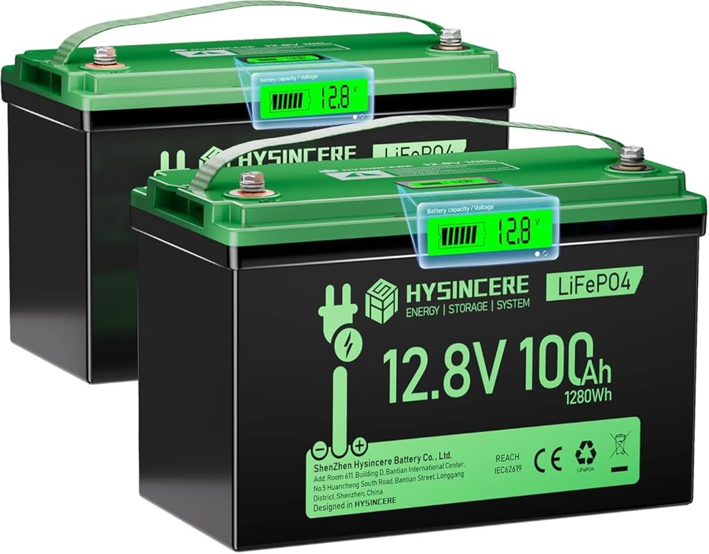 12V 100Ah LiFePO4 Deep Cycle Battery with 100A BMS for Group 31 RV Mar