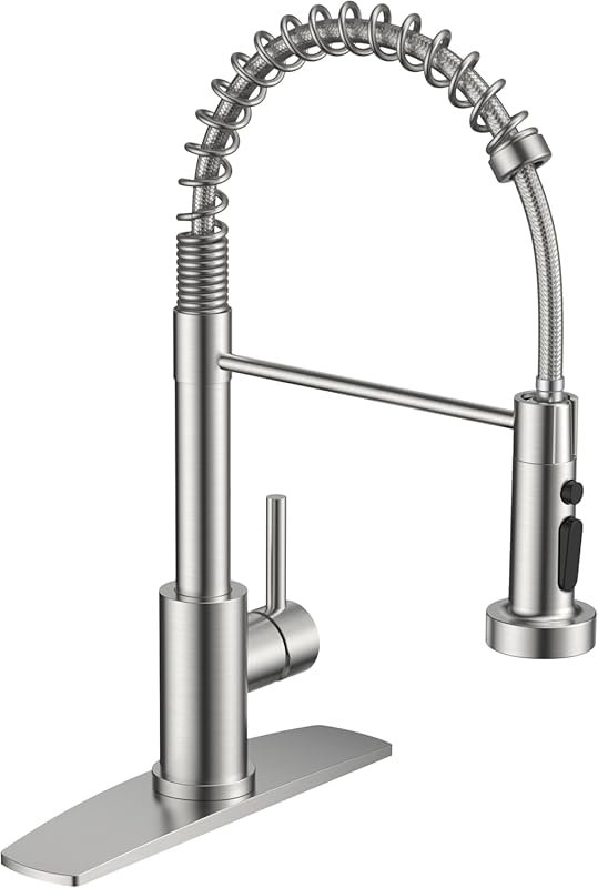 FORIOUS RV Kitchen Faucet with Sprayer, Commercial Spring Design, Sing