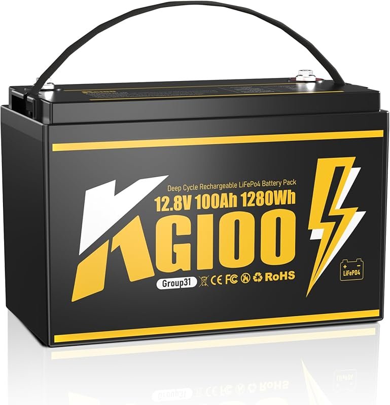 Group 31 12V 100Ah LiFePO4 Battery with 100A BMS and 15000 Cycles for 