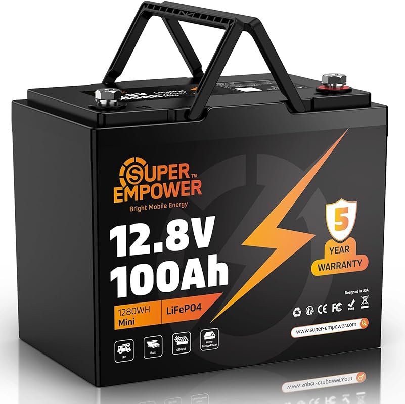 12V 100Ah Group 24 LiFePO4 Solar Battery with Low-Temp Protection and 