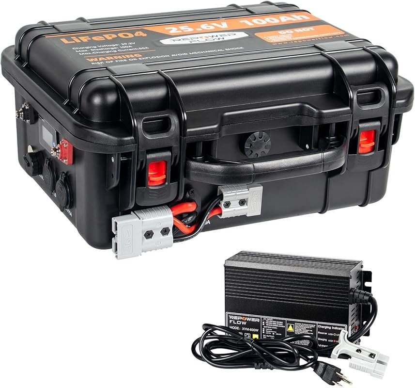 24V 100Ah LiFePO4 Deep Cycle Battery with Bluetooth and Charger for RV