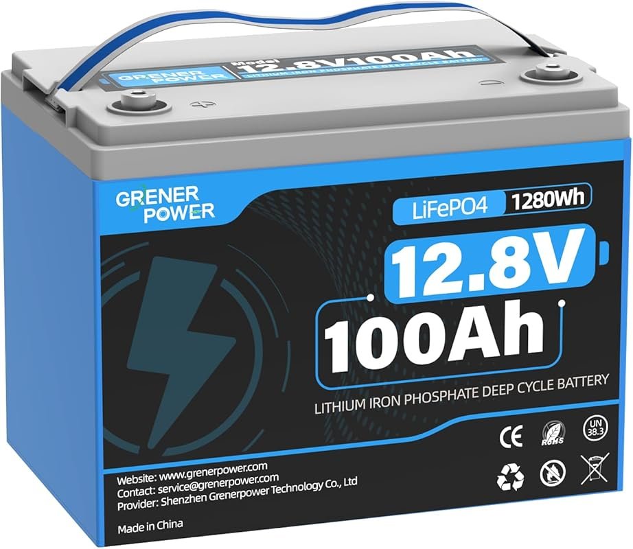 12V 100Ah LiFePO4 Battery with Group 24 Size 15000 Cycles and 100A BMS