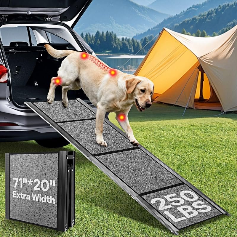 Folding Dog Ramp for SUVs, Trucks: 71x20 Wide, Gentle Slope, 250-lb Ca