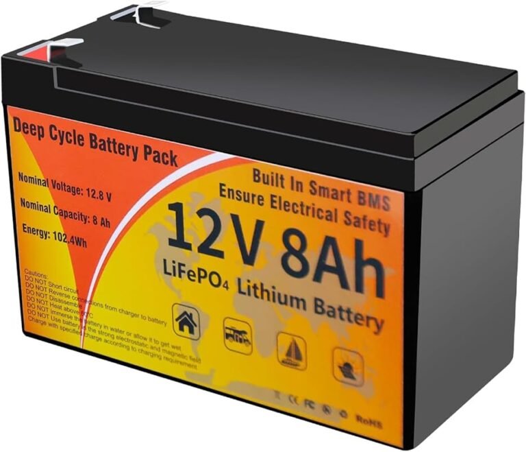 10 Best Lifepo4 Batteries for RV: Quality Expert Selections