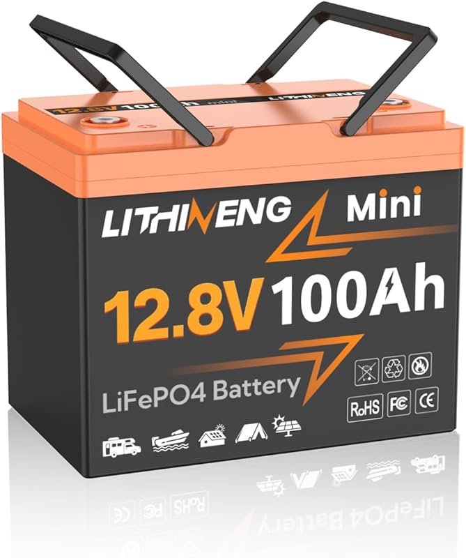 12V 100Ah LiFePO4 Battery with Group 24 Size, 100A BMS, and Low-Temp P