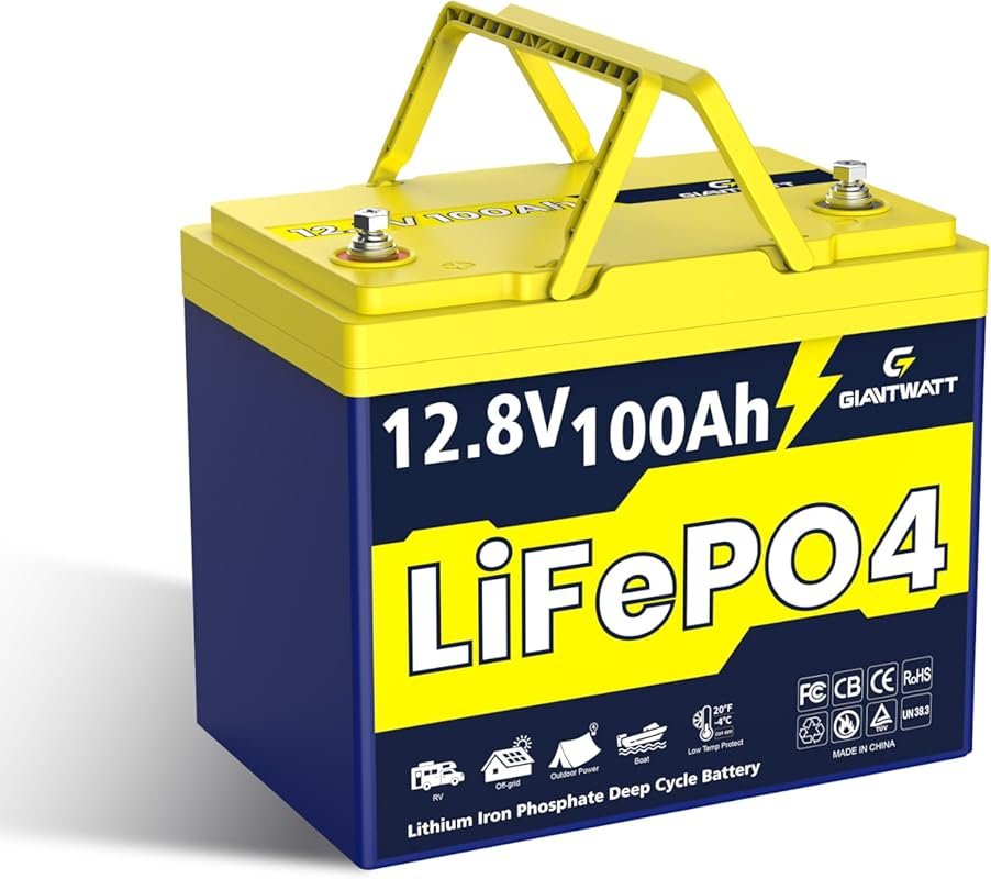 12V 100Ah Group 24 LiFePO4 Battery with Low-Temp Protection, 100A BMS,