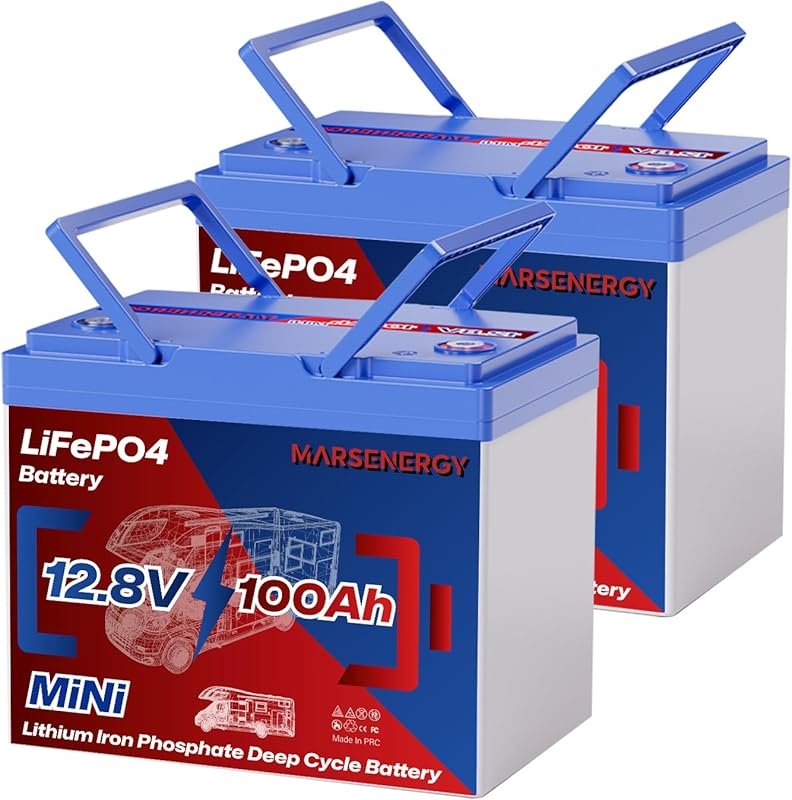 12V 100Ah LiFePO4 Battery 2-Pack with Group 24 Size and 100A BMS for T