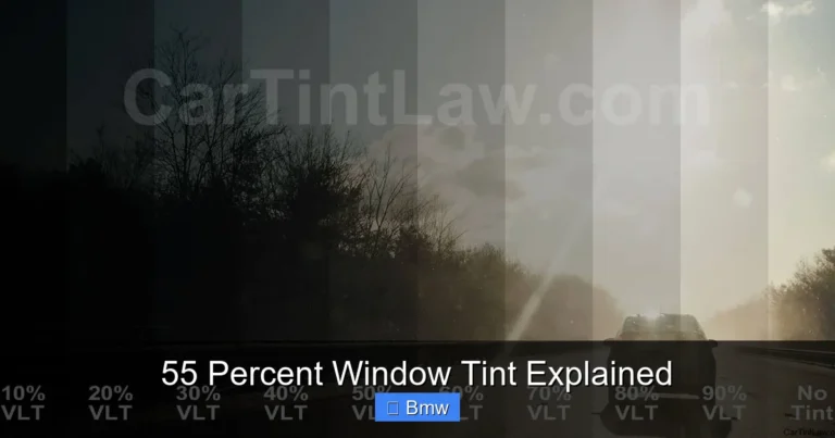 55 Percent Window Tint Explained