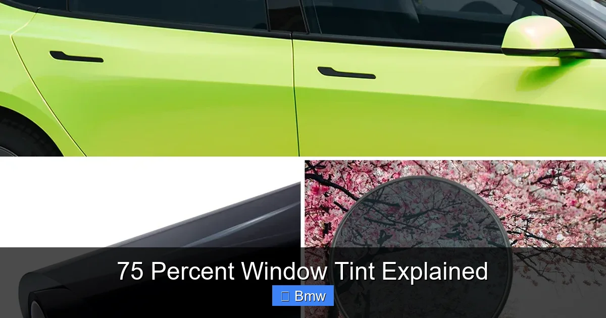 75 Percent Window Tint Explained