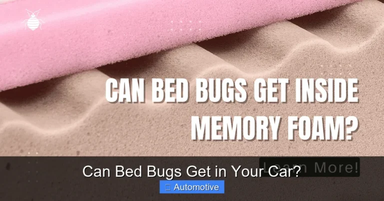 Can Bed Bugs Get in Your Car?