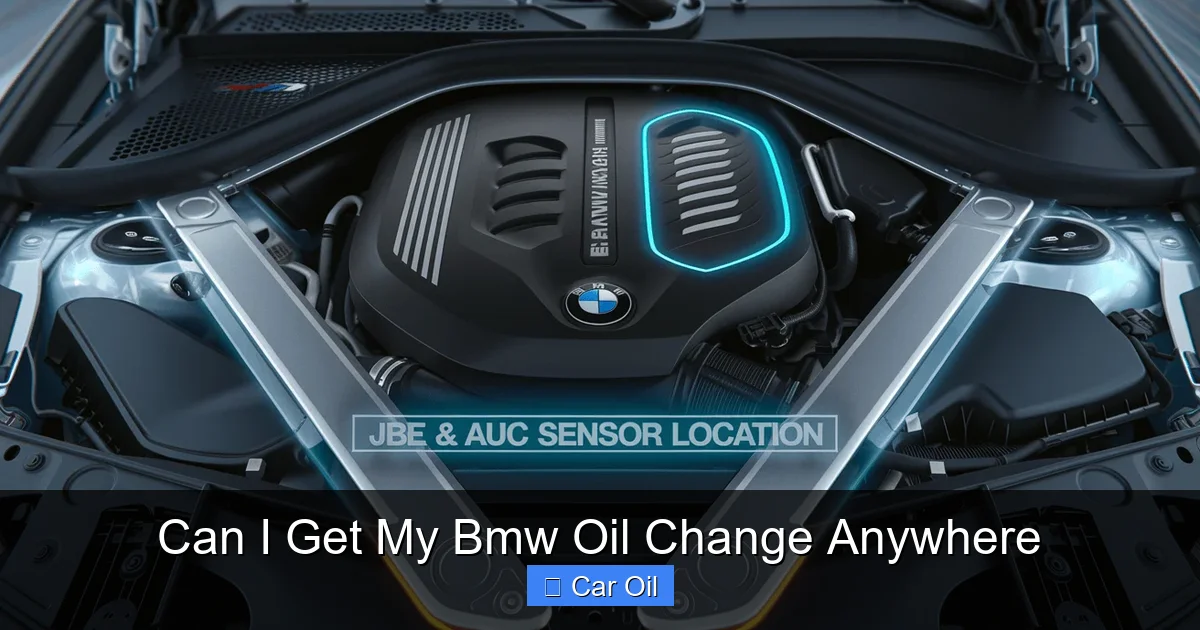 Can I Get My Bmw Oil Change Anywhere