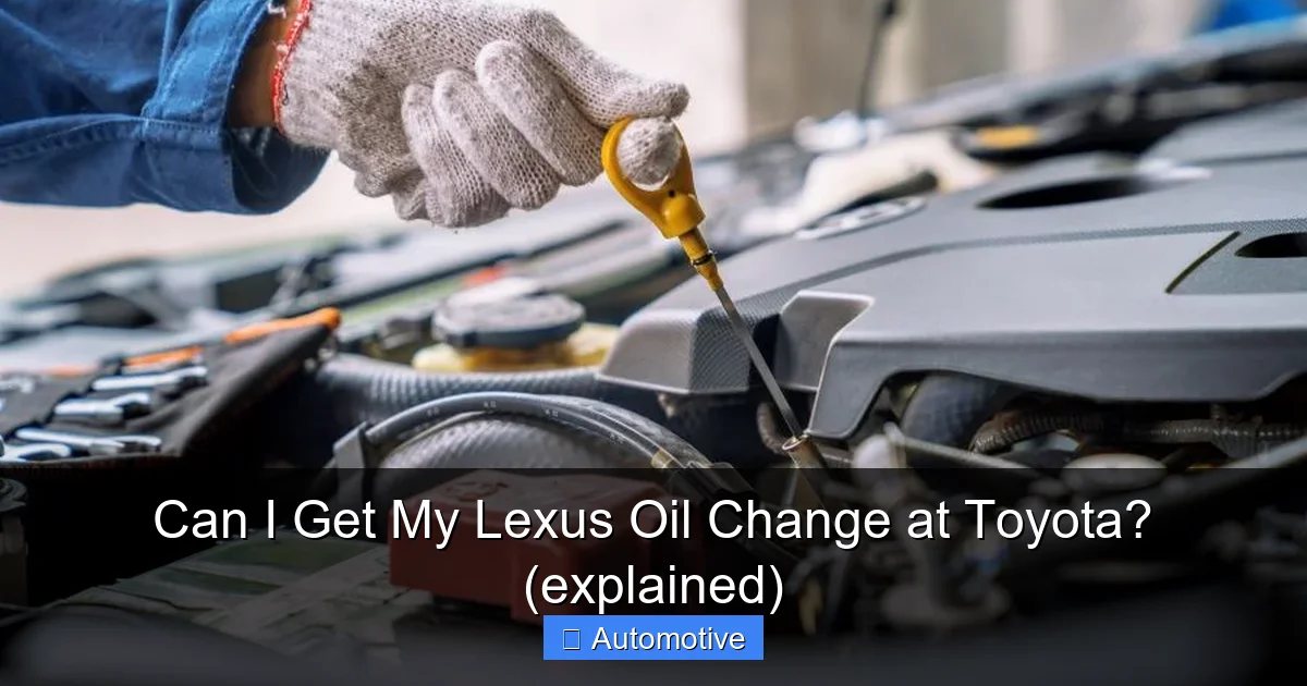 Can I Get My Lexus Oil Change at Toyota? (explained)