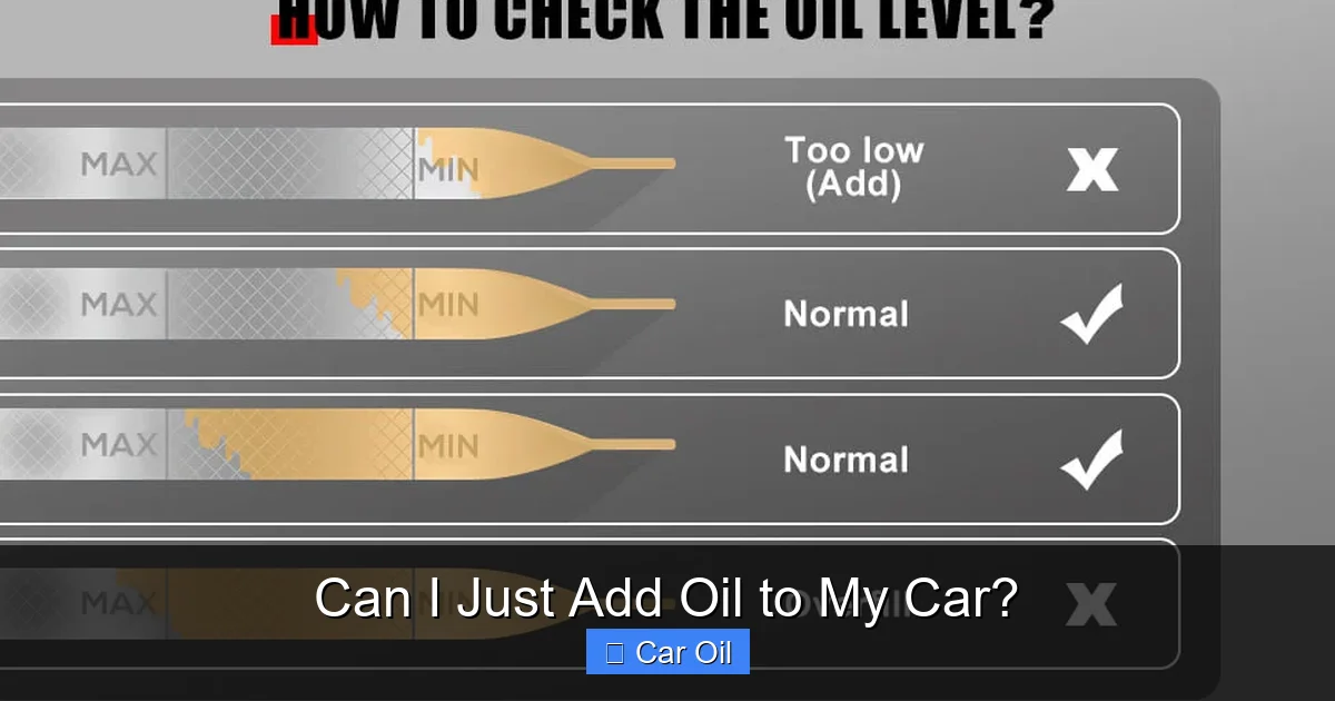 Can I Just Add Oil to My Car?